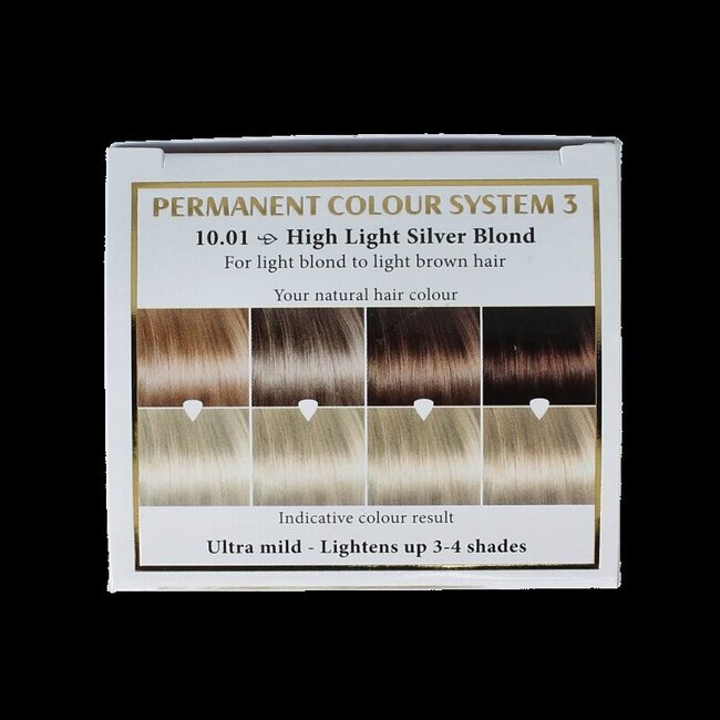 Henna Plus Long lasting colour 10.01 silver blond 100 Milliliter