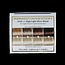 Long lasting colour 10.01 silver blond 100 Milliliter