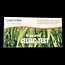 Coeliakie - gluten overgevoeligheid test 1 Stuks