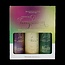 Tropical temptation three-pack travel edition 150 Milliliter