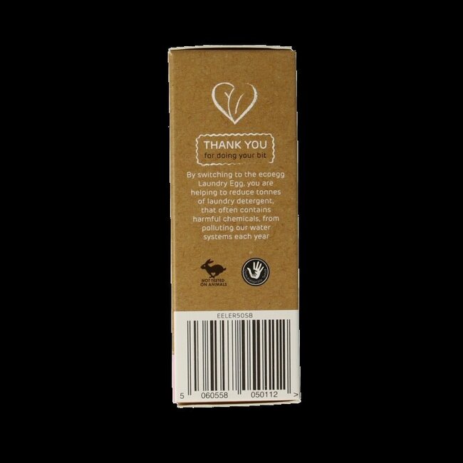 Eco Egg Laundry egg refill spring blossom 1 Stuks