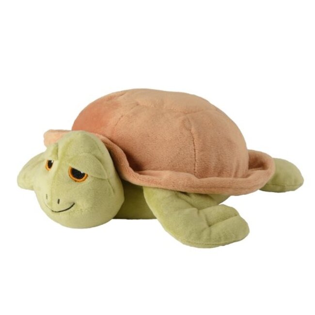Zeeschildpad 1 Stuks