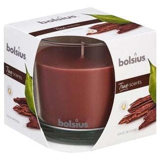 Bolsius True Scents geurglas 95/95 old wood 1 Stuks