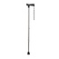 Wandelstok grijs 1 Stuks
