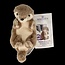 Mini otter 1 Stuks