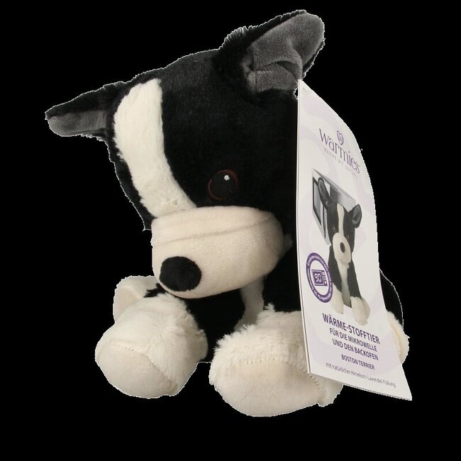 Boston terrier 1 Stuks