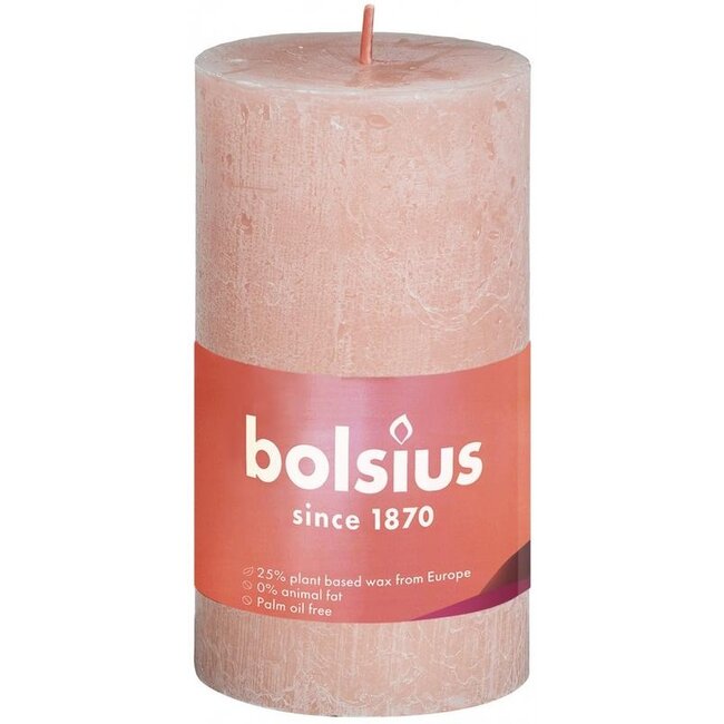 Rustiekkaars shine 100/50 misty pink 1 Stuks