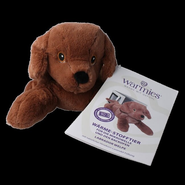 Labrador puppy 1 Stuks