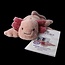 Axolotl 1 Stuks