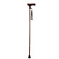Wandelstok opvouwbaar brons  1 Stuks