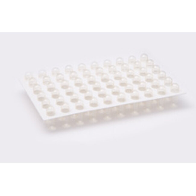 Blockland Caps in kaart voor 50 stuks nr. 1 HLD 1100 Stuks