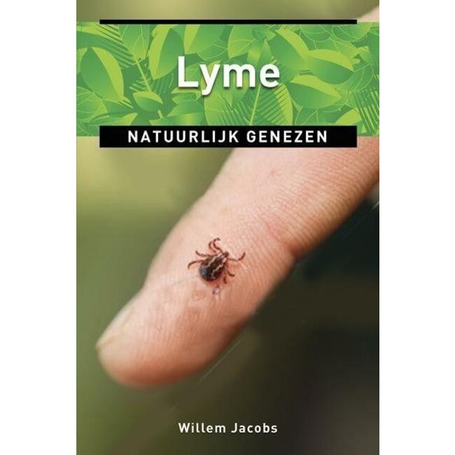 Lyme Willem Jacobs 1 Stuks