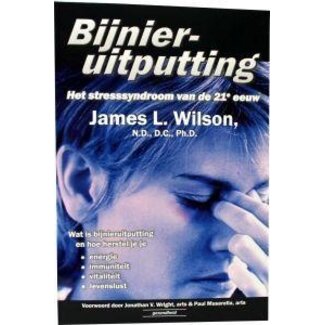Succesboeken Bijnieruitputting 1 Stuks