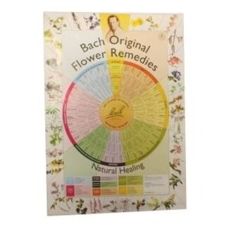 Bach Remedies poster A2 1 Stuks