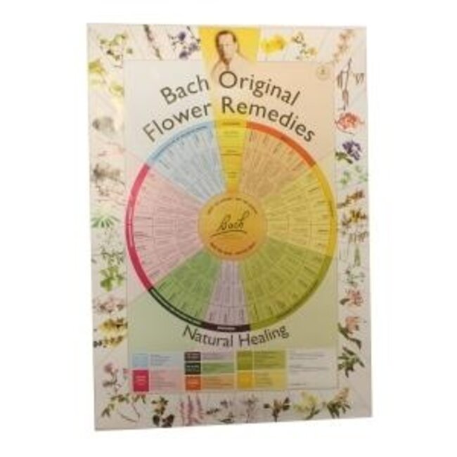 Remedies poster A2 1 Stuks
