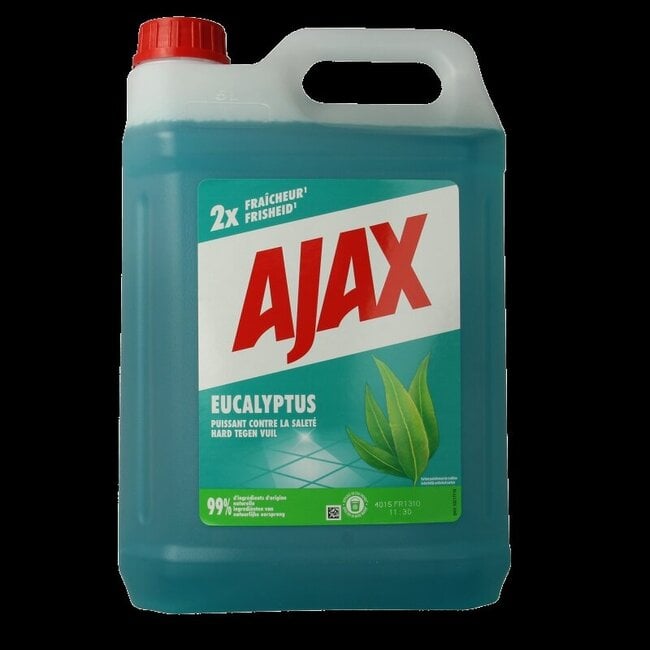 Allesreiniger eucalyptus 5 Liter