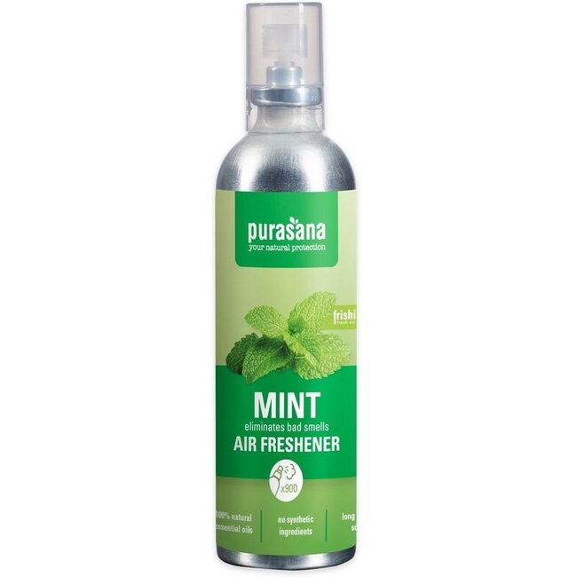 Frishi luchtverfrisser mint 100 Milliliter
