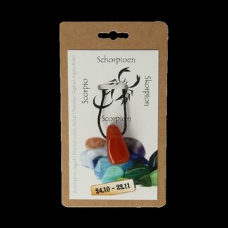 Steengoed Steengoed Sterrenbeeldhanger schorpioen  1 Stuks
