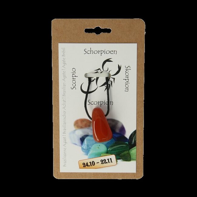 Sterrenbeeldhanger schorpioen  1 Stuks