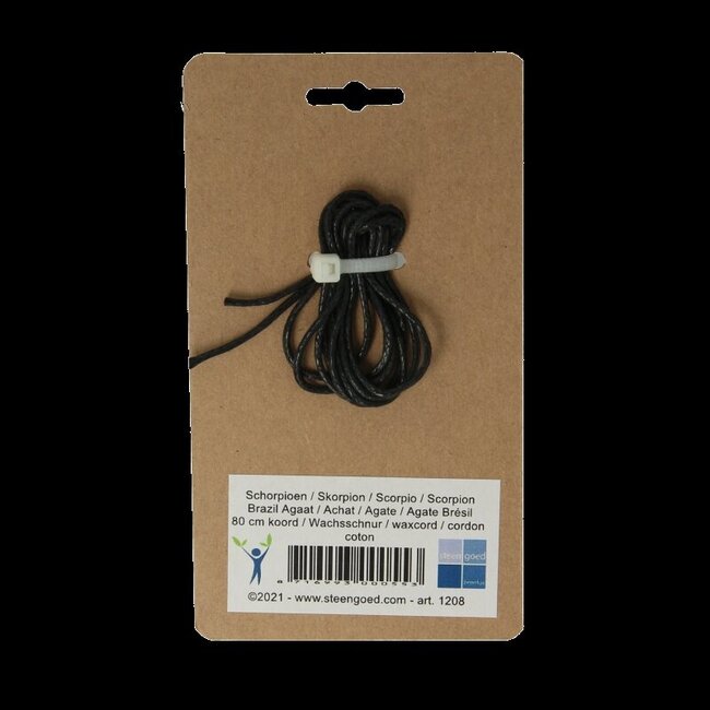 Pendentif signe astrologique Scorpion Steengoed 1 pièce