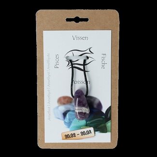 Steengoed Pendentif pierre du zodiaque Poissons - 1 pièce