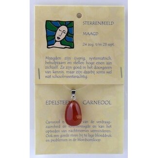 Steengoed Steengoed Sterrenbeeldsteen hanger maagd 1 Stuks