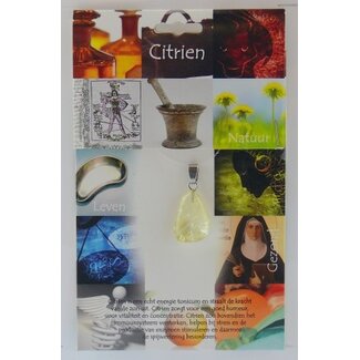 Steengoed Pendentif en citrine pierre de santé Steengoed 1 pièce