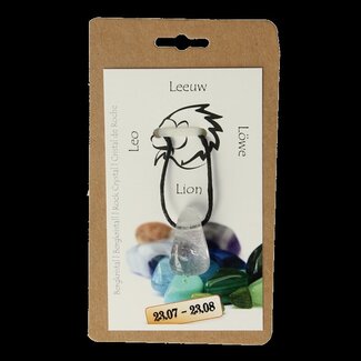 Steengoed Pendentif signe astrologique Lion Steengoed 1 pièce