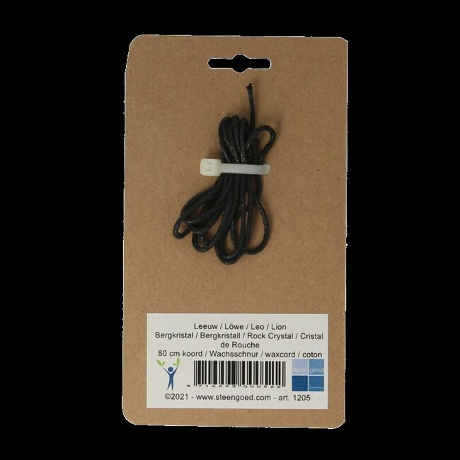 Pendentif signe astrologique Lion Steengoed 1 pièce