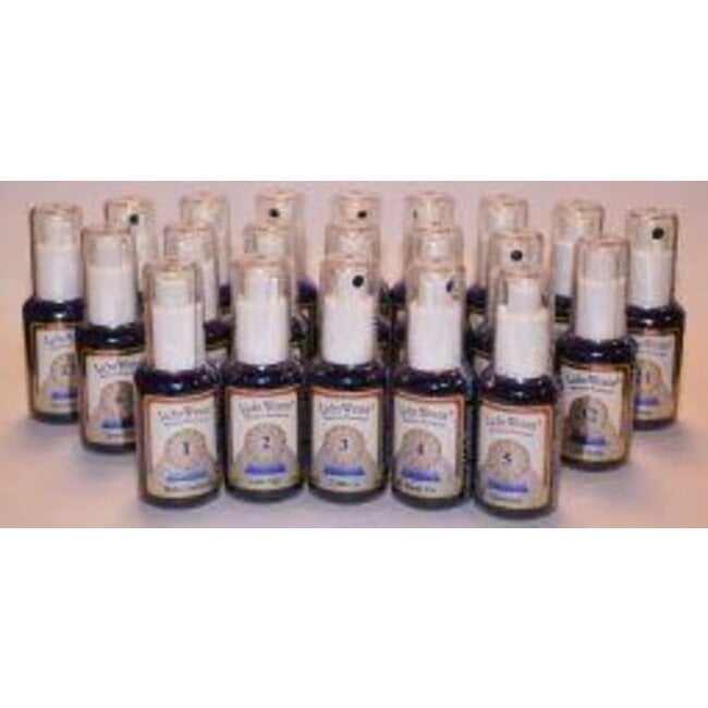 Lichtwesen Set tincturen 21 x 30ml 1 Set