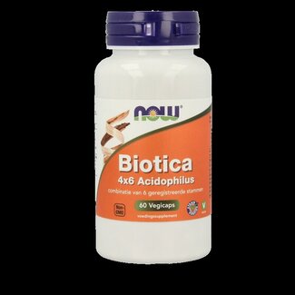 NOW NOW Biotica 4x6 acidophilus 60 gélules végétales