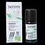 Ladrome Niaouli olie 10 Milliliter
