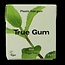 True Gum Mint suikervrij 21 Gram