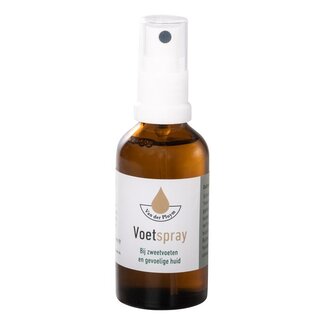 Van Der Pluym Van Der Pluym Voetspray 100 Milliliter