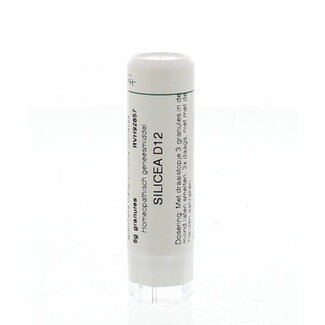 Homeoden Heel Homeoden Heel Silicea D12 6 Gram