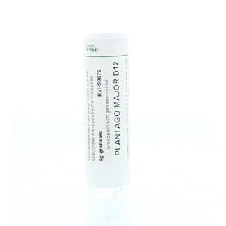 Homeoden Heel Homeoden Heel Plantago major D12 6 Gram