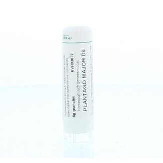 Homeoden Heel Homeoden Heel Plantago major D6 6 g