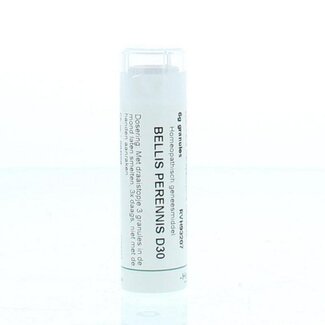 Homeoden Heel Bellis perennis D30 6 Gram