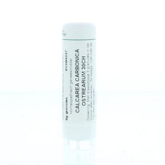 Homeoden Heel Homeoden Heel Calcarea carbonica ostrearum 30CH 6 Gram