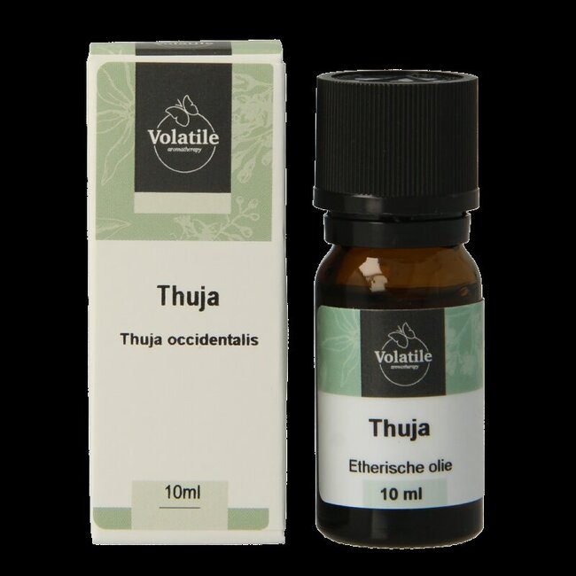 Thuja Volatile 10 ml