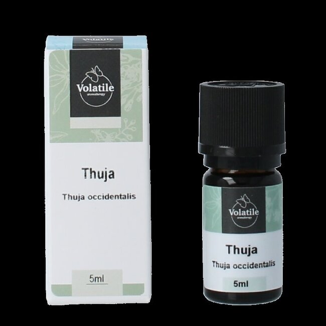 Volatile Thuja 5 ml