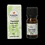 Pepermunt 10 Milliliter