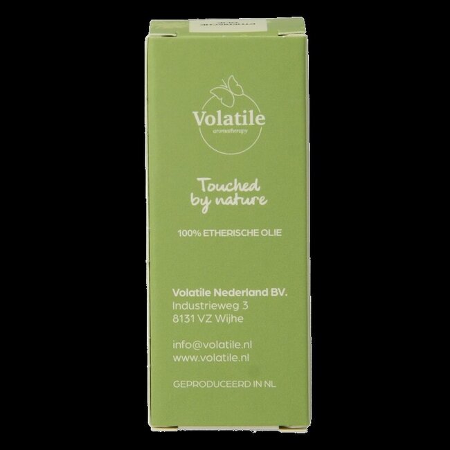 Volatile Den pinus sylvestrus 5 Milliliter