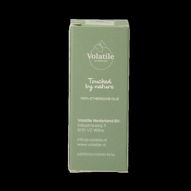 Volatile Benjoin 5 ml