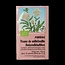 Salus Tisane d'Achillée Millefeuille bio 15 sachets