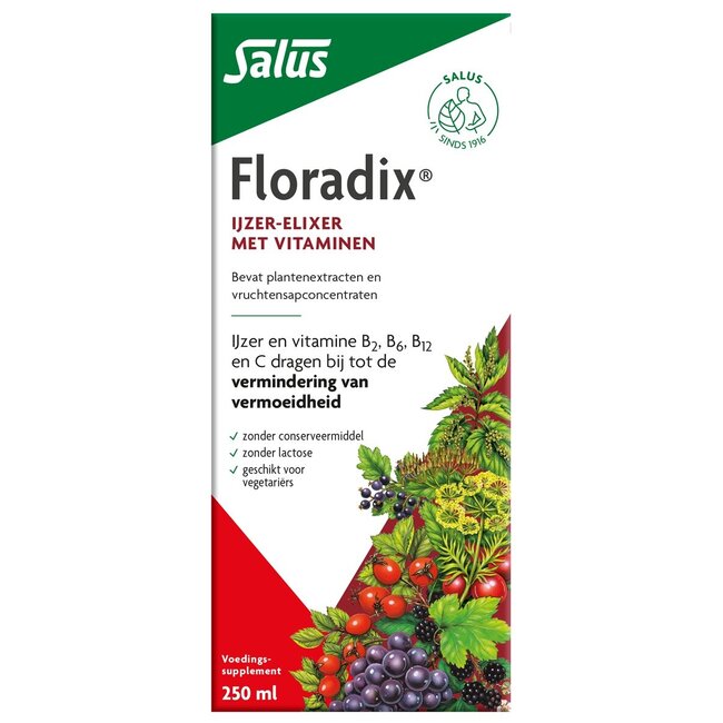 Salus Floradix ijzer elixer 250 Milliliter