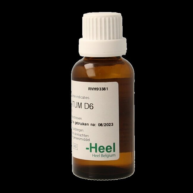 Homeoden Heel Hypericum perforatum D6 30 Milliliter