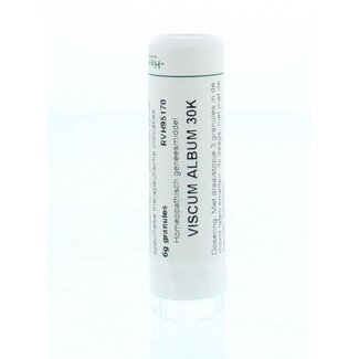 Homeoden Heel Homeoden Heel Viscum album 30K 6 Gram