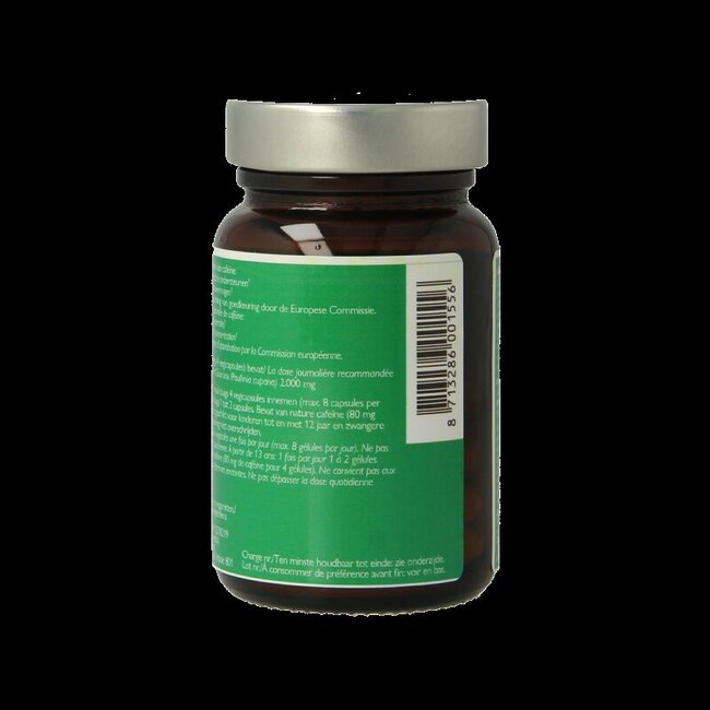 RIO Gogo guarana 500mg 10 dagen 20 Capsules