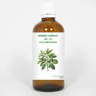 Balancepharma Balancepharma Gemmo simplex 20 juglans nigra 100 Milliliter